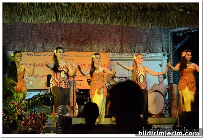 hula dancers hula dancers