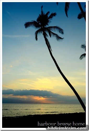 sunset sunset