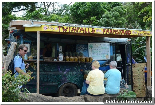 twin falls stand twin falls stand