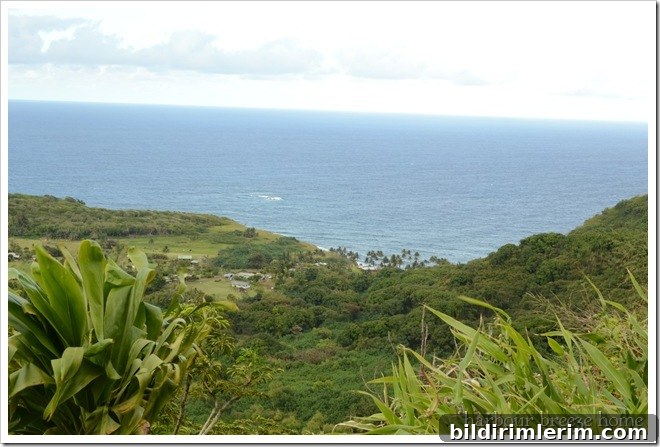 on road to hana on road to hana