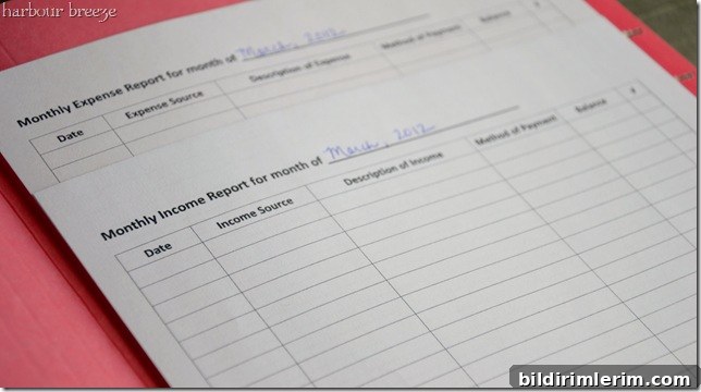 income and expenses colored income and expenses colored