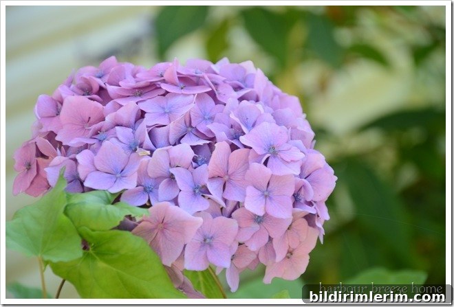 img 4704 1
