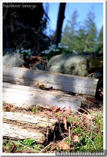 path