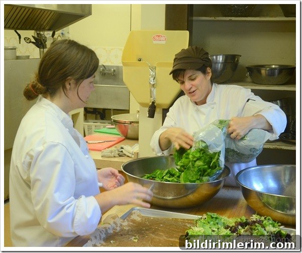 making salad