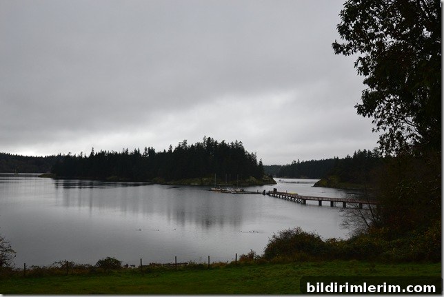 winter gray sky winter gray sky