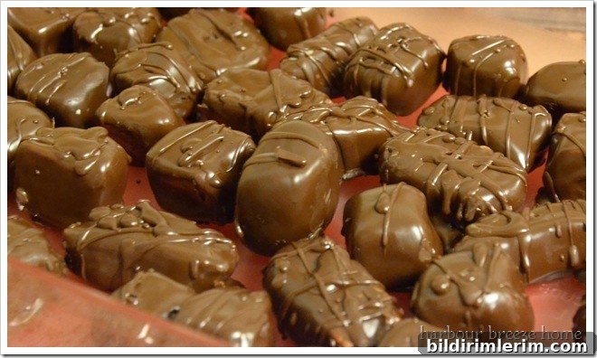 dipped chocolates