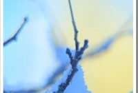 Snow Day Activities for Kids: Indoor and Outdoor Ideas