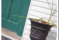 How to Plant a Living Bouquet for Spring