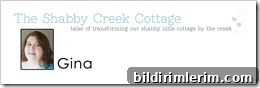 Gina's Banner