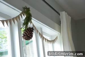 img 6495 1