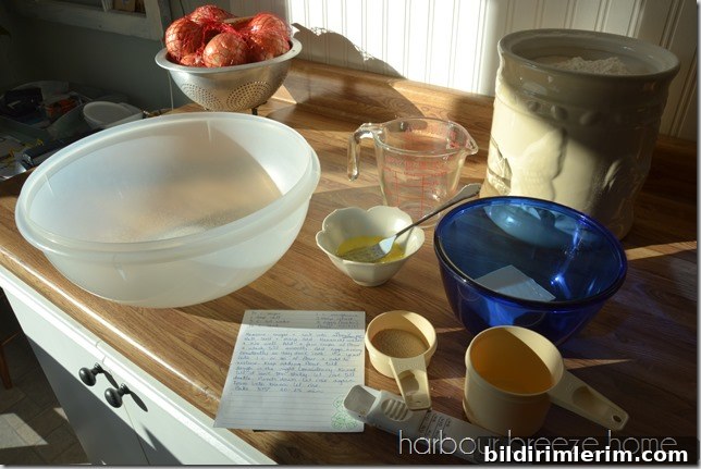 Ingredients for ham and cheese crescent rolls