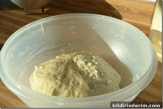 Dinner roll dough ready to rise