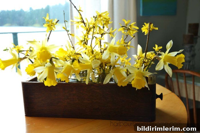 daffodil flower arrangements placed in an antique sewing machine drawer sitting on a table top