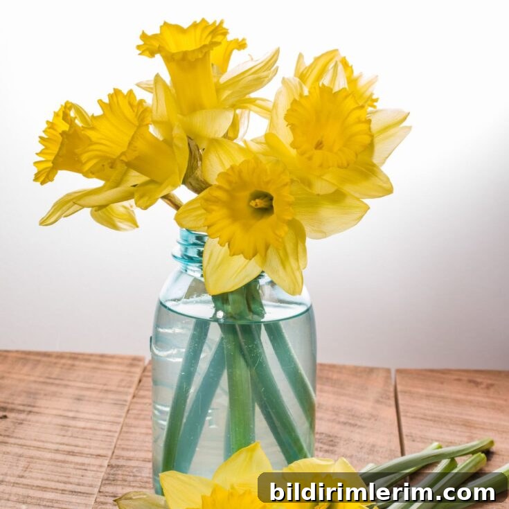 daffodil flower arrangement in a simple jar with water