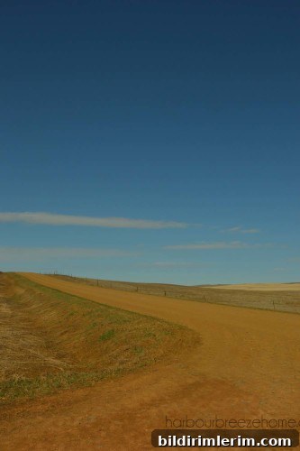 Montana country roads