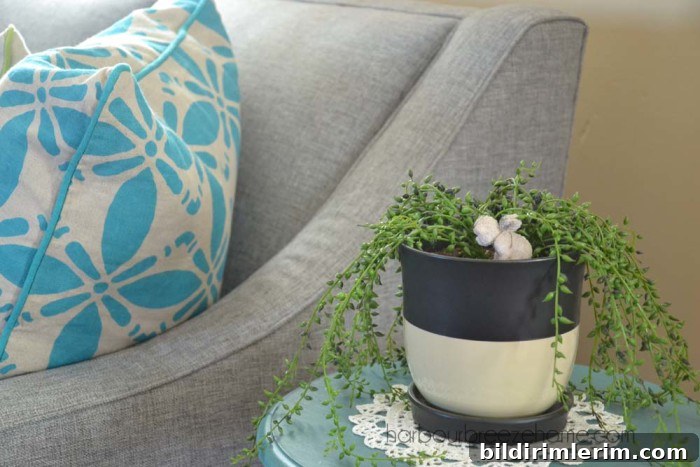 Modern Farmhouse Design Lessons