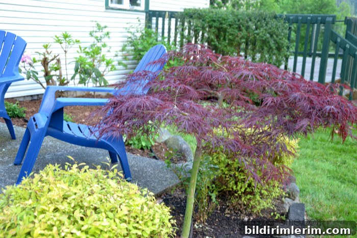 Weekend DIY Projects to Transform Your Home 3 outdoor projects