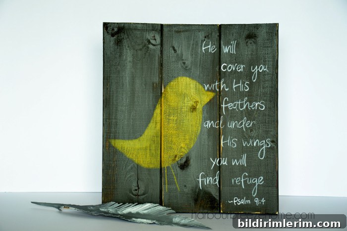 gray and yellow bird ps rs