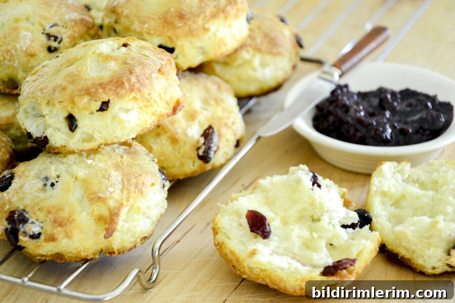 A pile of cranberry scones on a cooling rack with a hot scone open and jam behind it.