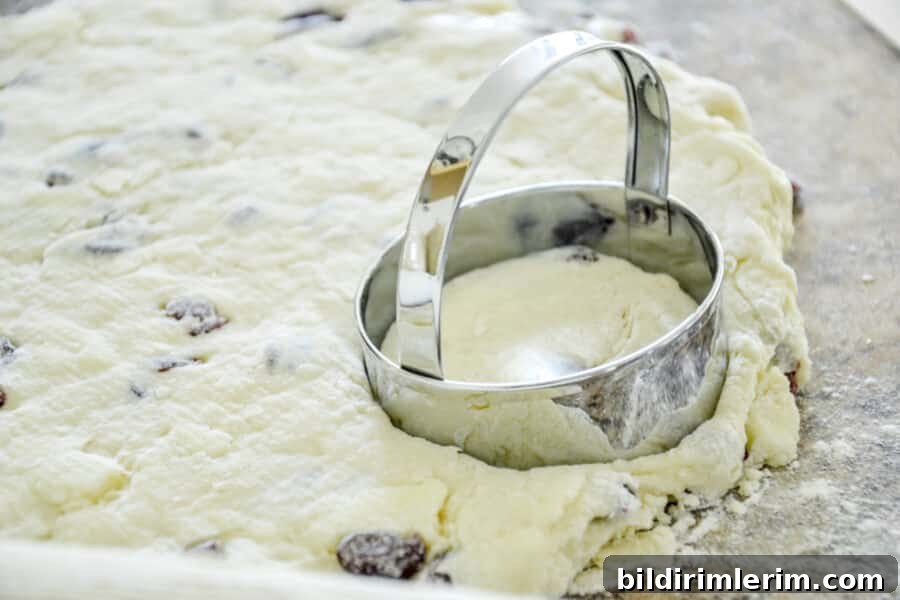 A biscuit cutter in rolled out cranberry scone dough.