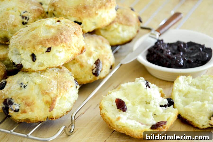 A batch of buttermilk cranberry scones piled up with a single scone ready to be buttered beside.