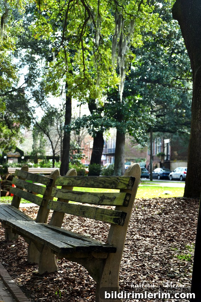 review of Savannah, Georgia