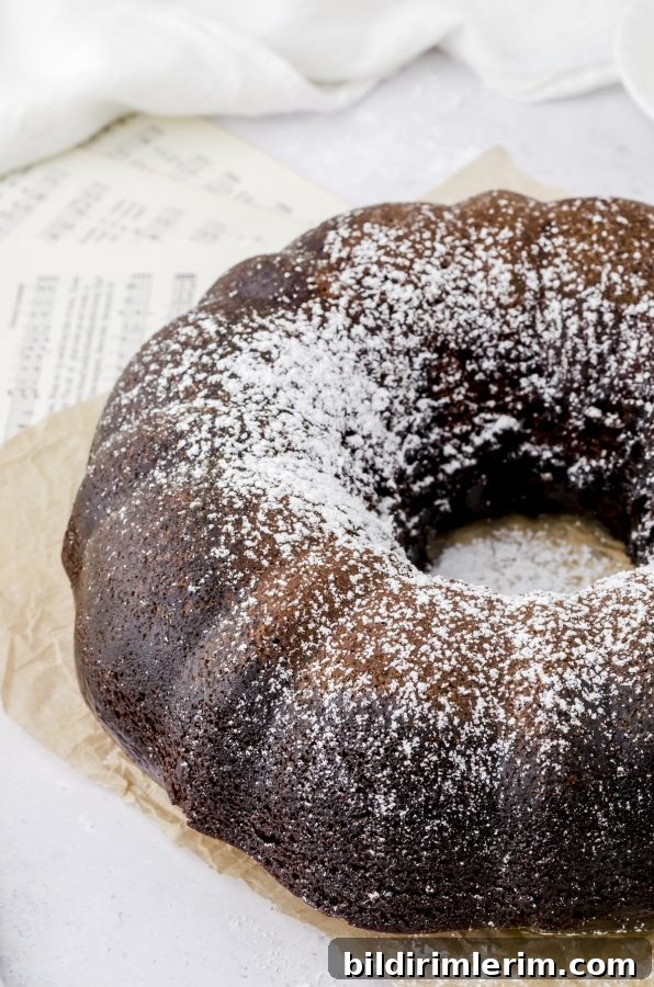Gingerbread cake with a dusting of powdered sugar on the top.