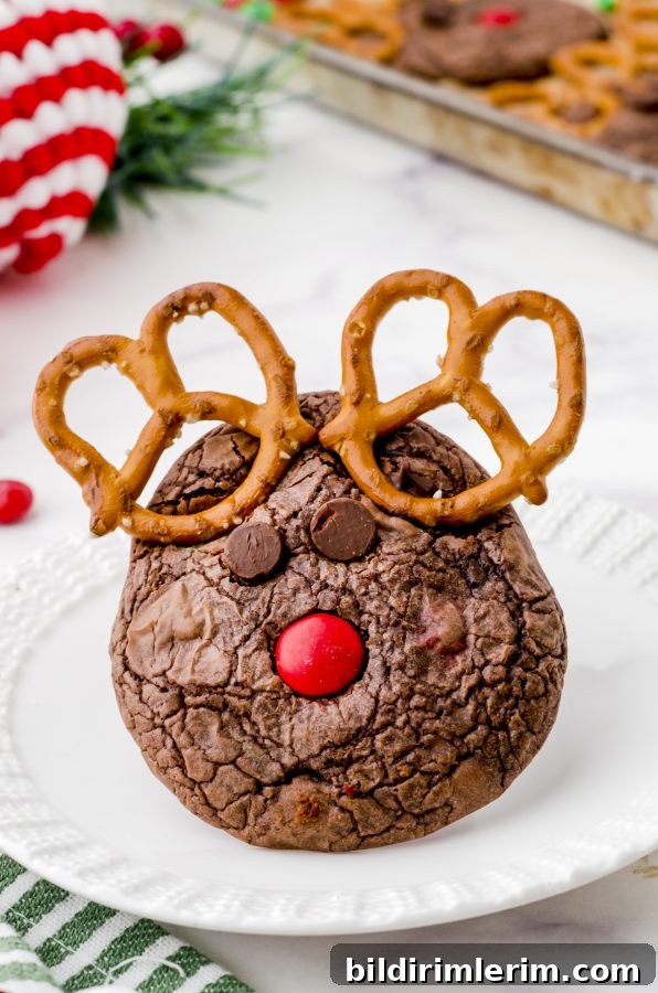 Rudolph cookie on a plate