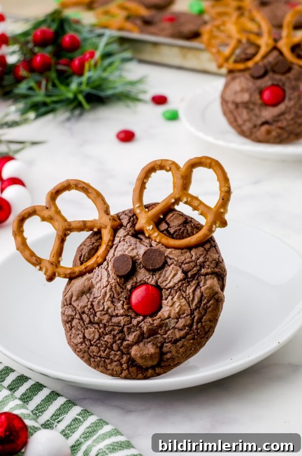 Close up of a rudolph the reindeer cookie on a white plate