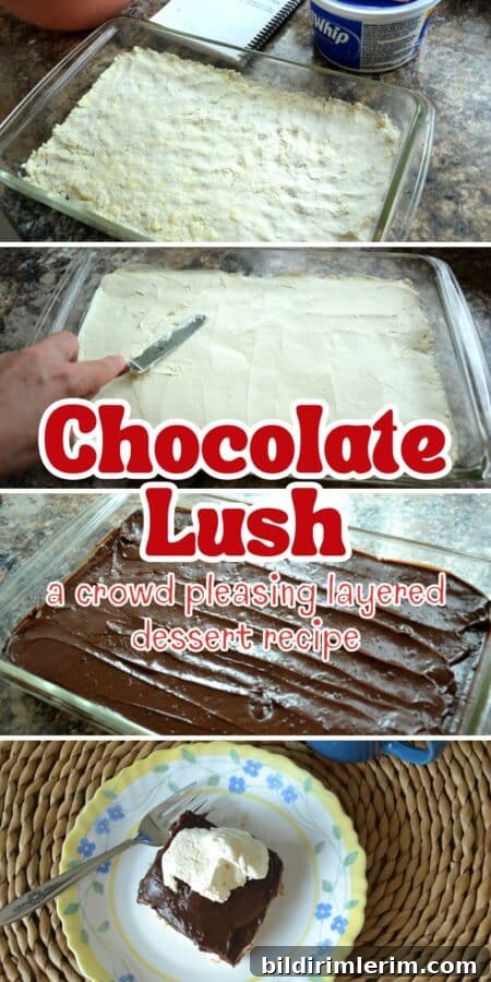 Chocolate Lush Dessert pin image