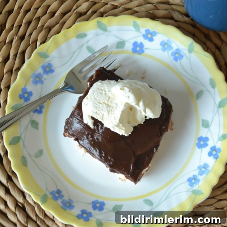 Chocolate Lush Dessert whole pan