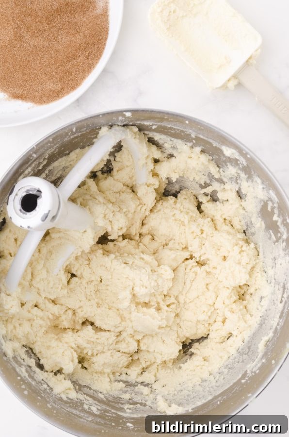 Snickerdoodle cookie dough in a bowl.