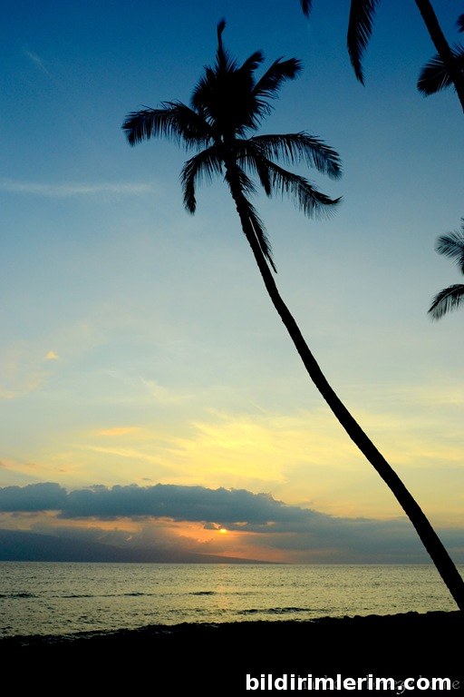 blog refocus| harbourbreezehome.com