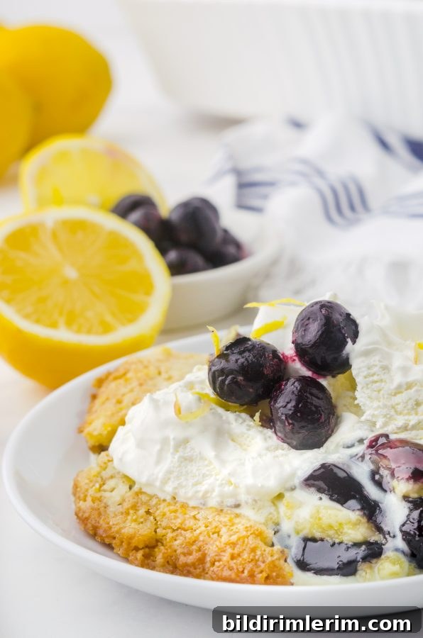 A piece of blueberry dump cake on a plate with whipped topping and fresh blueberries.