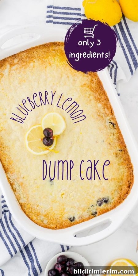 Bursting with flavor, this simple 3-ingredient dump cake is quick to make and delicious served warm.