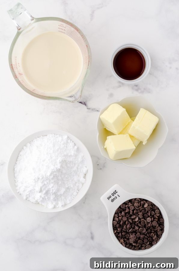 Ingredients for homemade chocolate fudge sauce