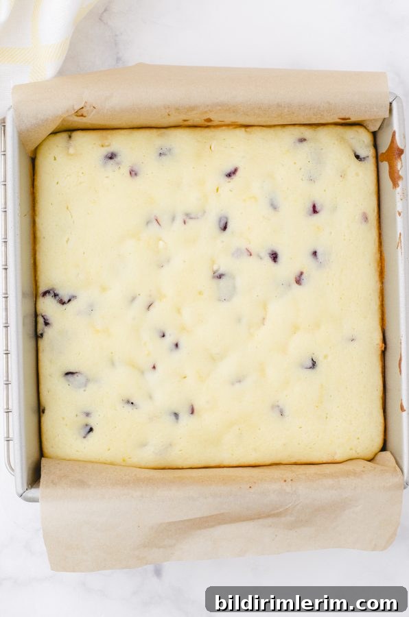 Finished cranberry lemon bars