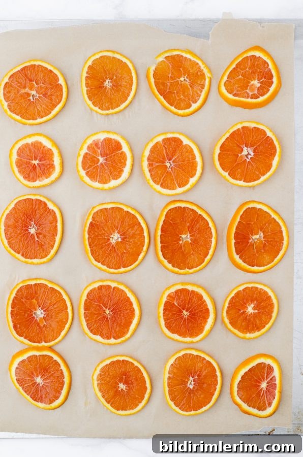 Orange slices laying in a flat layer on a parchment paper lined cookie sheet.