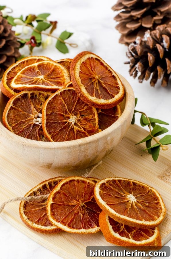 a close up of what dried orange slices look like 