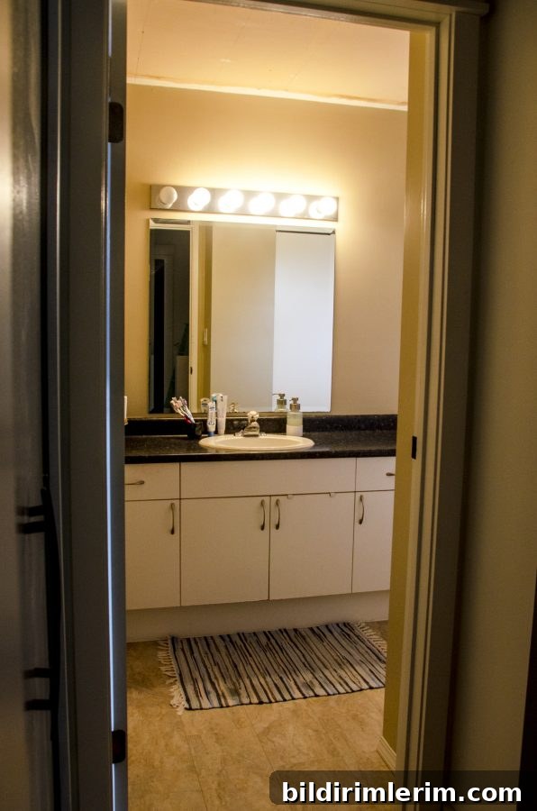 Evergreen Fog Bathroom Remodel: Affordable Paint and Design Ideas 3 The vanity and light area with a dated look before we did an evergreen fog paint makeover with new lights and new mirror.
