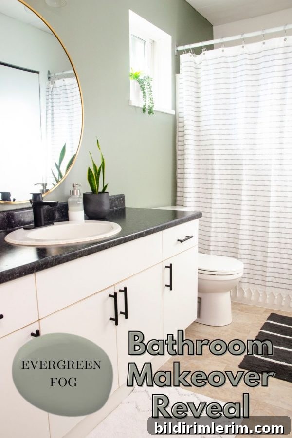 Evergreen Fog Bathroom Remodel: Affordable Paint and Design Ideas 7 A bathroom painted in the color evergreen fog by Sherwin Williams.