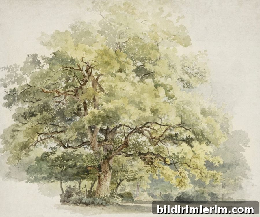 George Andries Roth vintage forest park artwork
