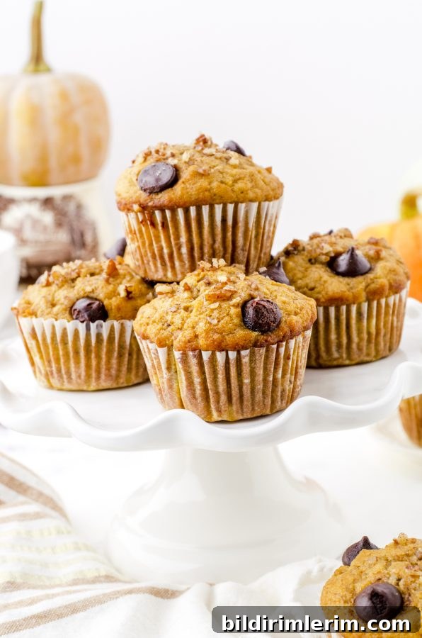 Pumpkin Banana Muffins Recipe with Cinnamon 2 Pumpkin banana muffins stacked on a plate.