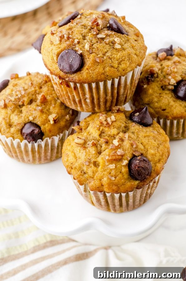 Pumpkin Banana Muffins Recipe with Cinnamon 10 Banana Pumpkin muffins stacked on a plate.