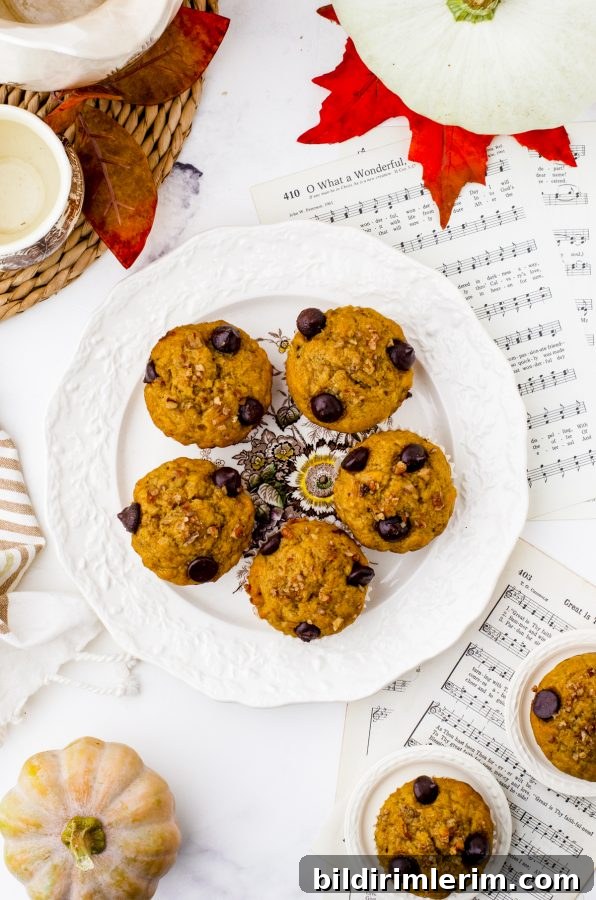 Pumpkin Banana Muffins Recipe with Cinnamon 11 Pumpkin banana Muffins on a serving plate with a mini pumpkin beside it.