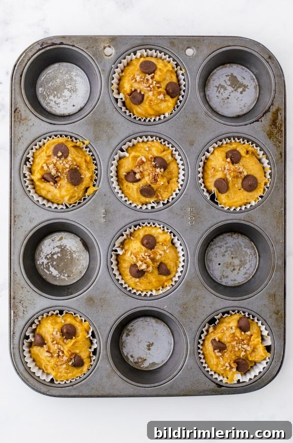 Pumpkin Banana Muffins Recipe with Cinnamon 8 Easy pumpkin banana muffins batter with chocolate chips on the top in a muffin tin.