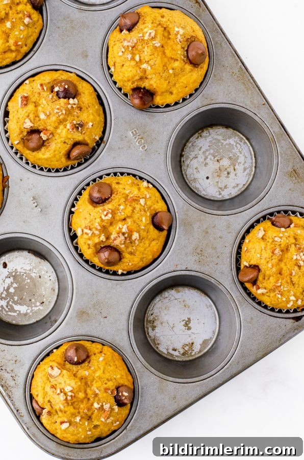 Pumpkin Banana Muffins Recipe with Cinnamon 9 Baked pumpkin banana muffins in a muffin tin cooling off.