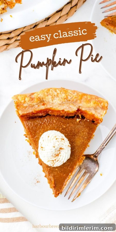Simple and easy pumpkin pie