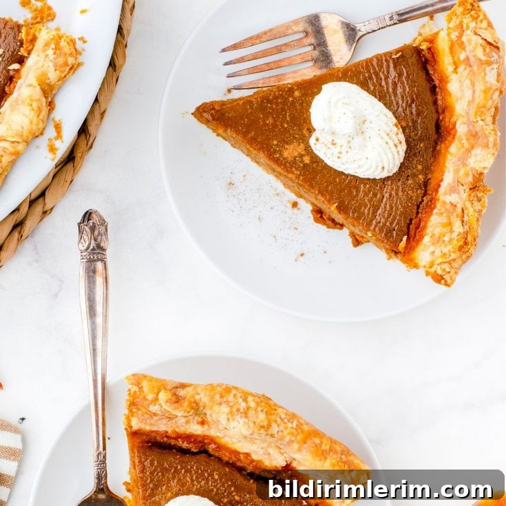 Pumpkin pie close-up