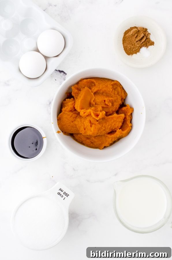 Ingredients needed for this simple pumpkin pie recipe